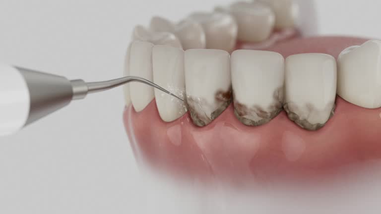 Reliable Dental contractor in Henderson, KY by Dentist Open Now